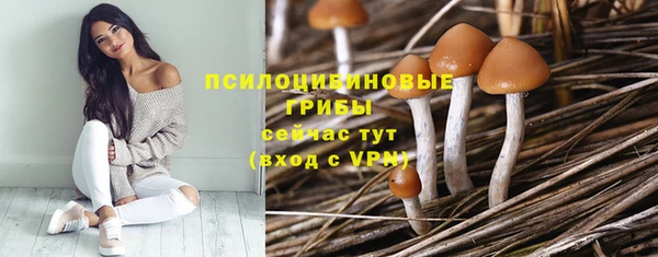 первитин Абдулино